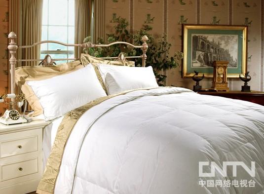 安徽鸿润集团 以品质铸就床上家纺用品大奖，引领健康睡眠新风尚